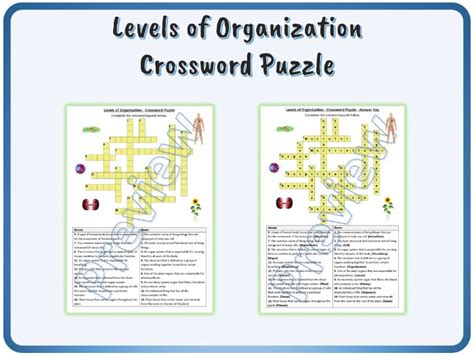 secretive organization crossword clue|secretive org crossword answer.